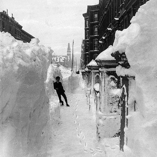 Communist Daughter - Blue Spruce Needles