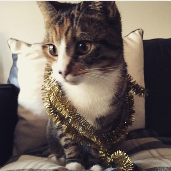 Kid Canaveral - Wasn't Really Listening