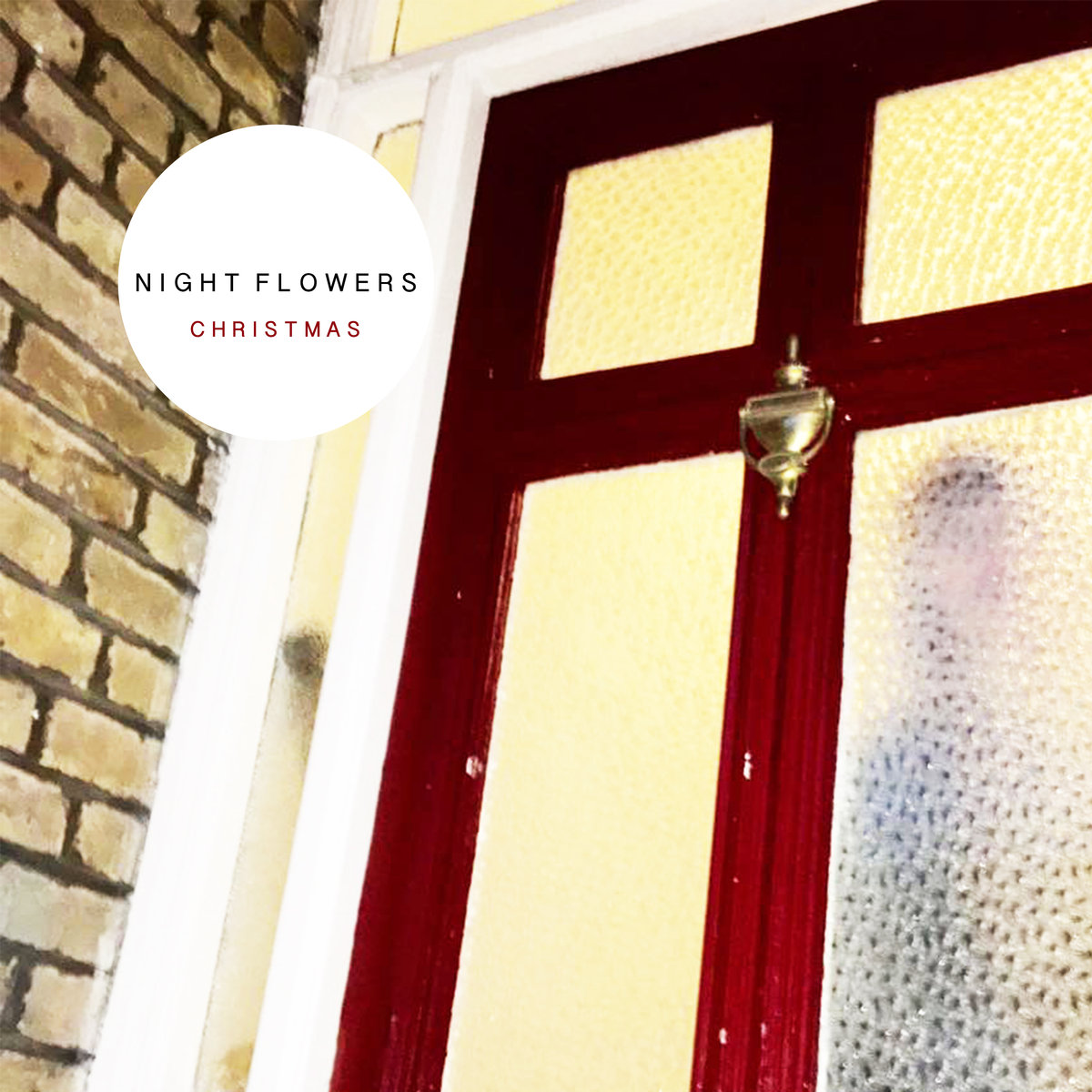 Night Flowers - Christmas