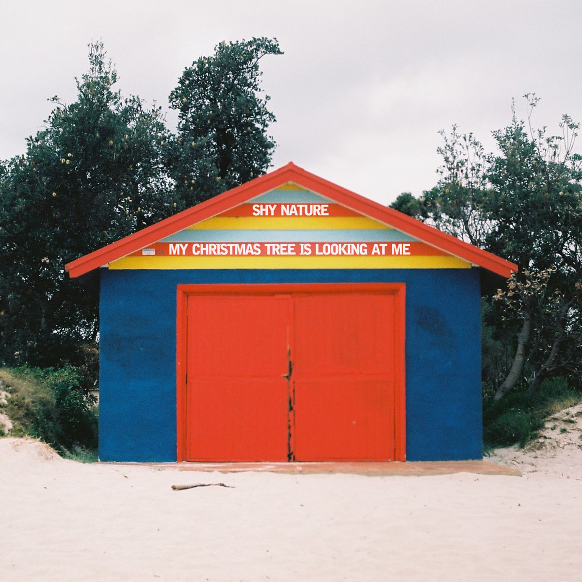 Shy Nature - My Christmas Tree is Looking at Me