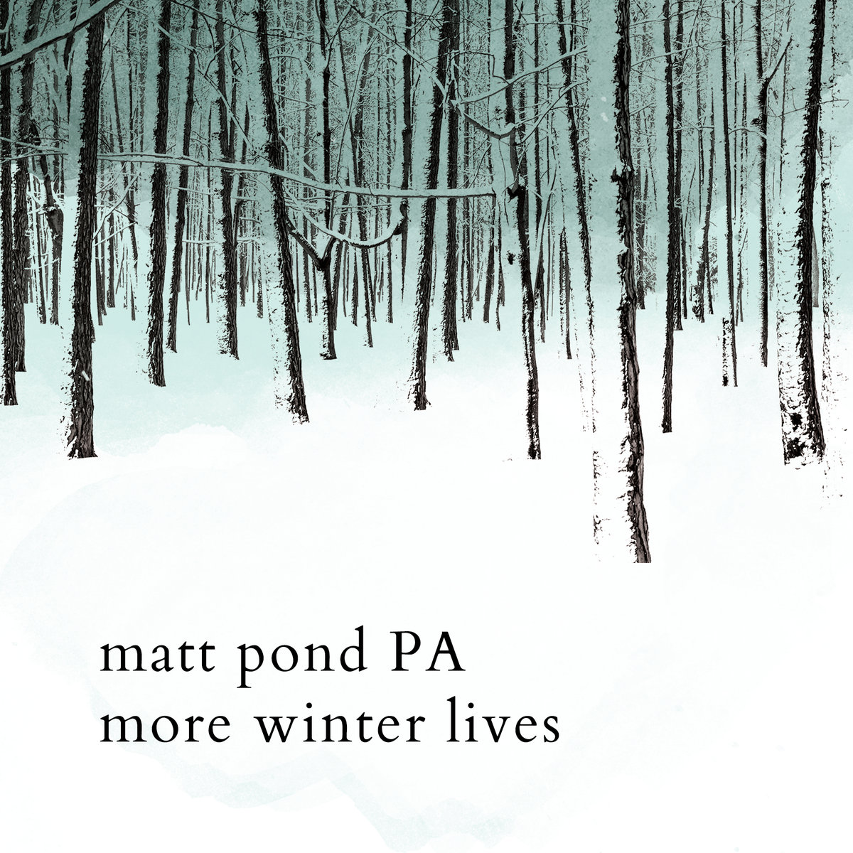Matt Pond PA More Winter Lives