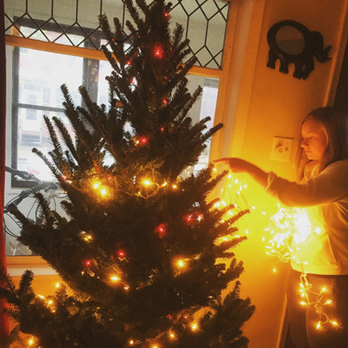 girl reaching out to touch a lit Christmas tree.